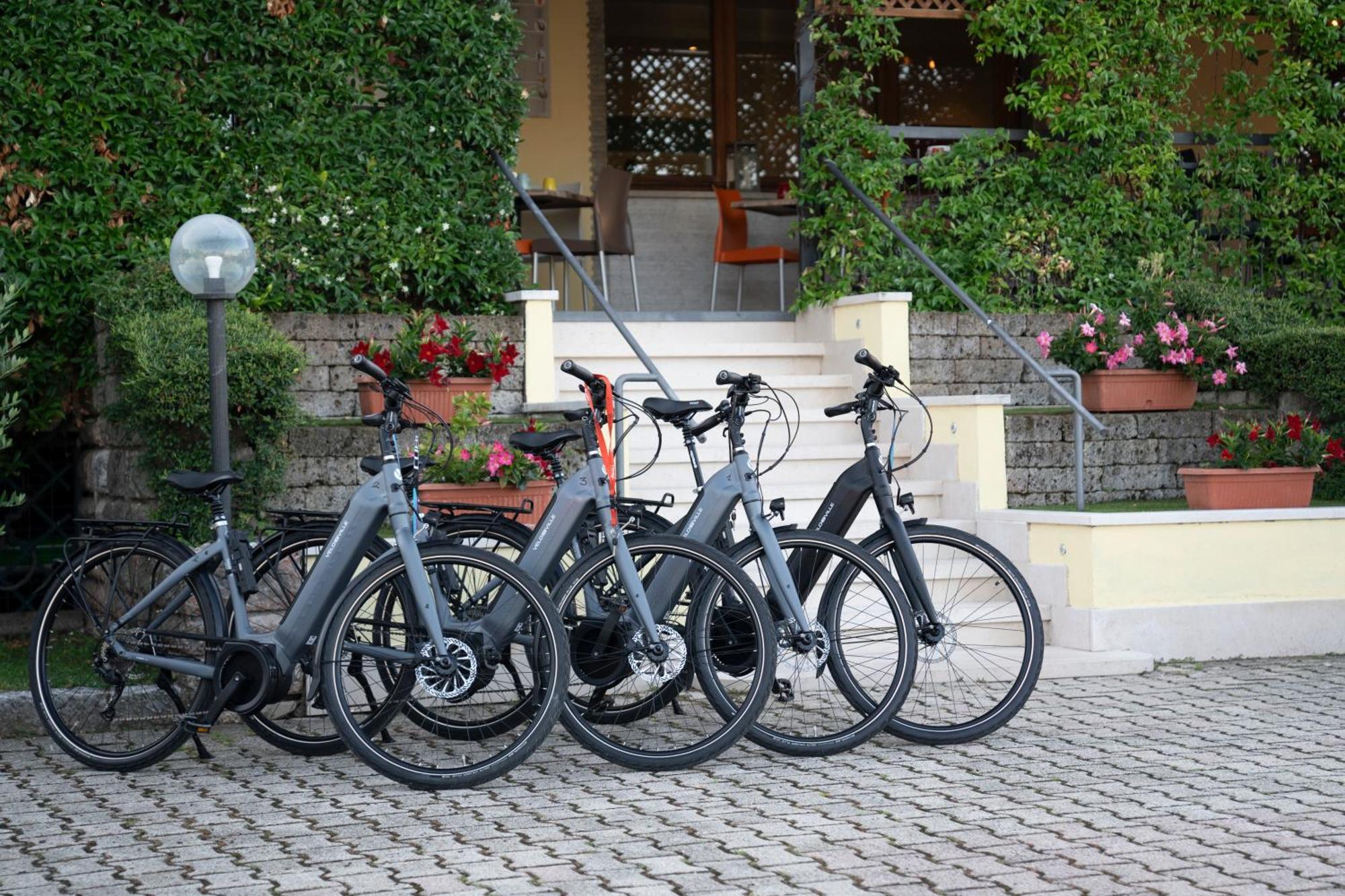 Hotel Garni Rosmari Brenzone sul Garda Eksteriør billede