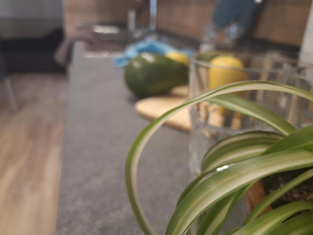 Hotel Garni Rosmari Brenzone sul Garda Værelse billede