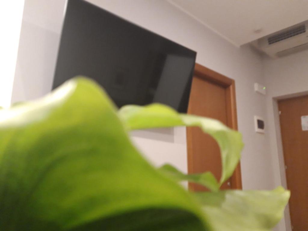 Hotel Garni Rosmari Brenzone sul Garda Værelse billede